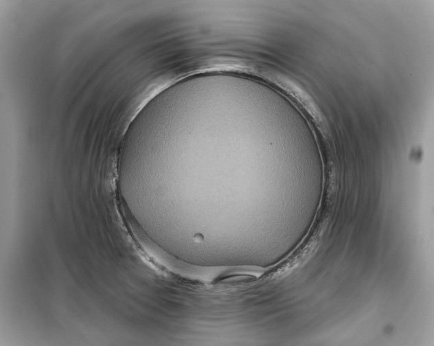 X0000099301377200805231333