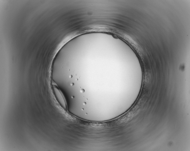 X0000099301378200805231333