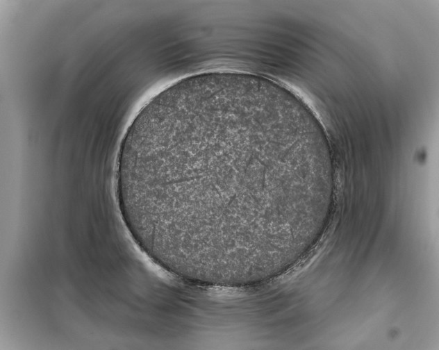 X0000099301379200805231333