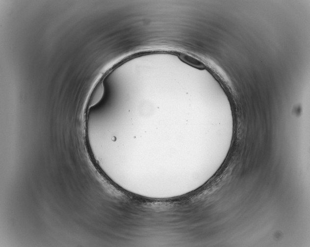 X0000099301380200805231333