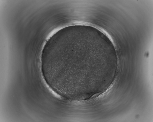 X0000099301381200805231333