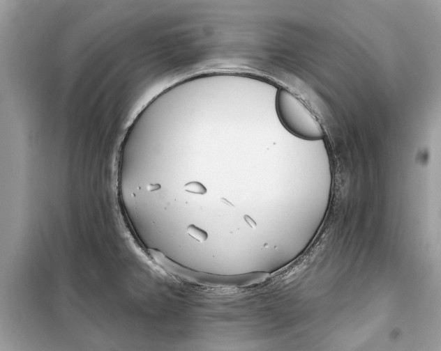 X0000099301382200805231333