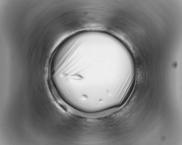 X0000099301383200805231333