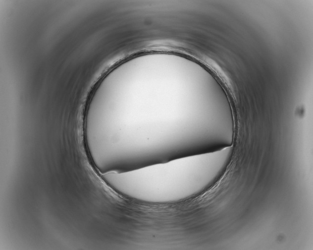 X0000099301384200805231333