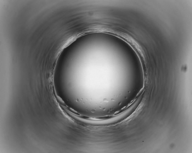 X0000099301385200805231333