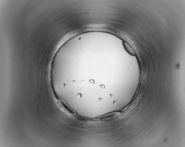 X0000099301386200805231333