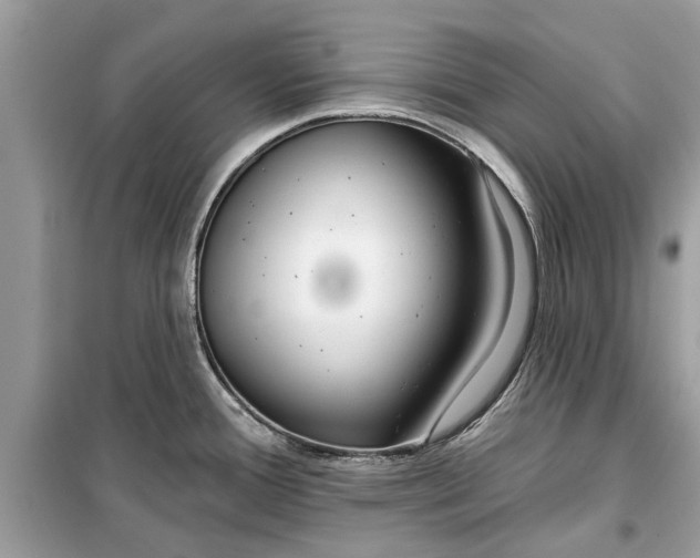 X0000099301388200805231333