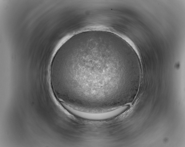 X0000099301389200805231333