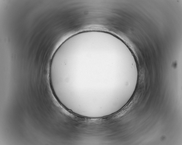 X0000099301390200805231333