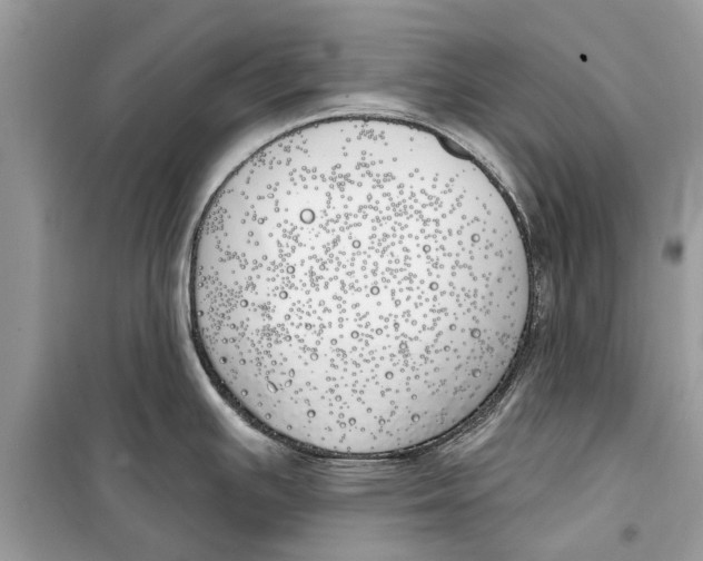 X0000099301391200805231333