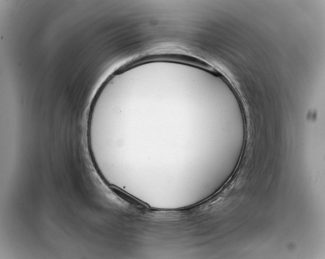 X0000099301392200805231333