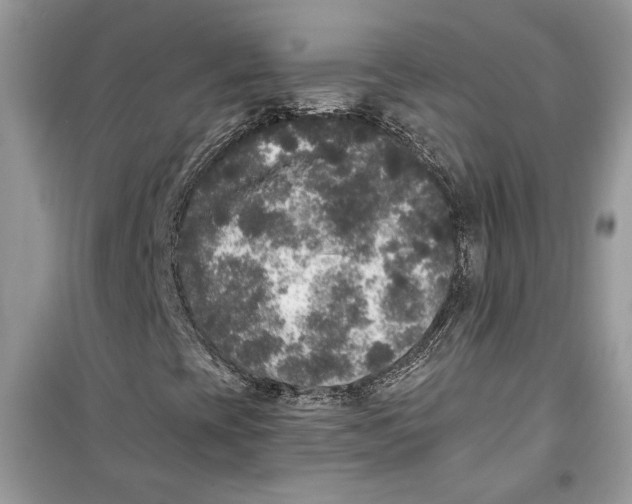 X0000099301393200805231332