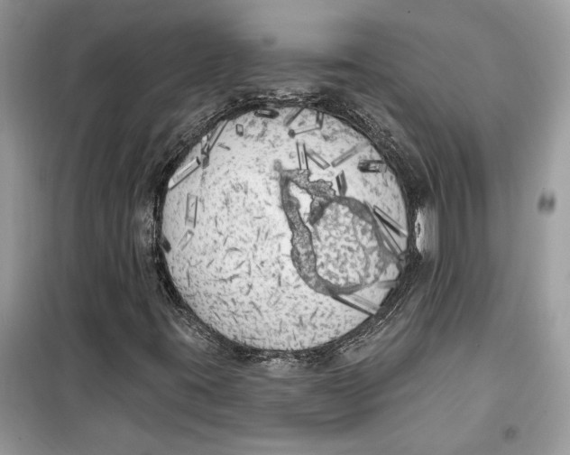 X0000099301395200805231332