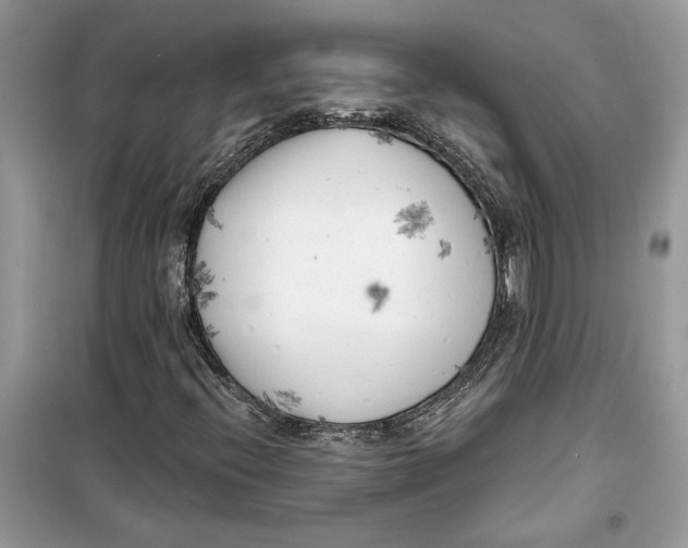 X0000099301396200805231332