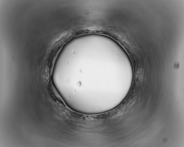 X0000099301398200805231332