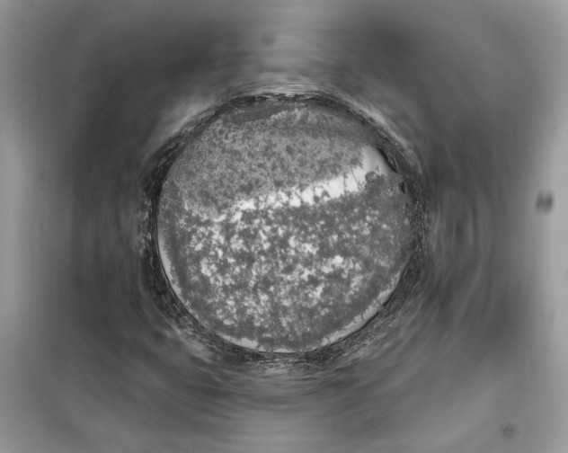 X0000099301399200805231332