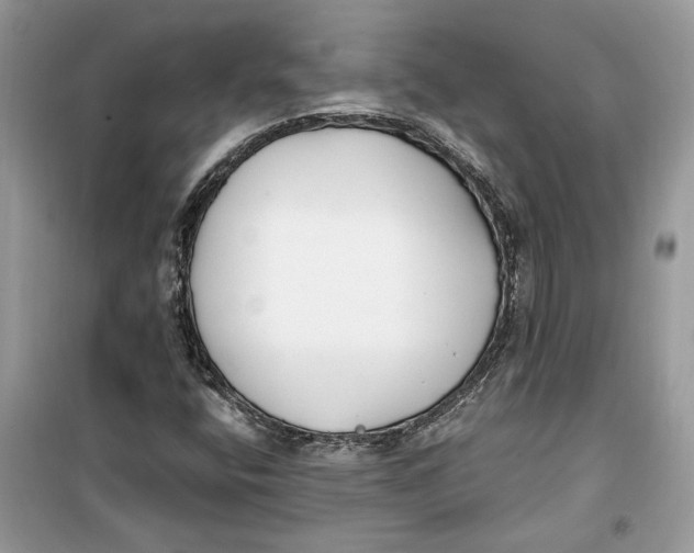 X0000099301400200805231332