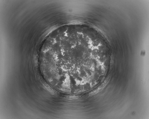 X0000099301401200805231332