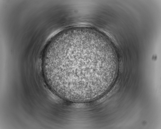 X0000099301402200805231332