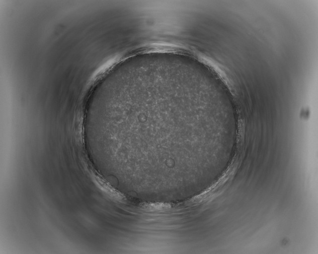 X0000099301403200805231332