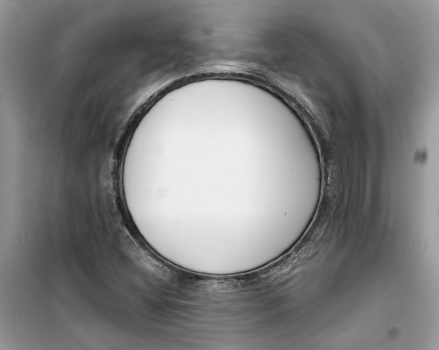 X0000099301404200805231332