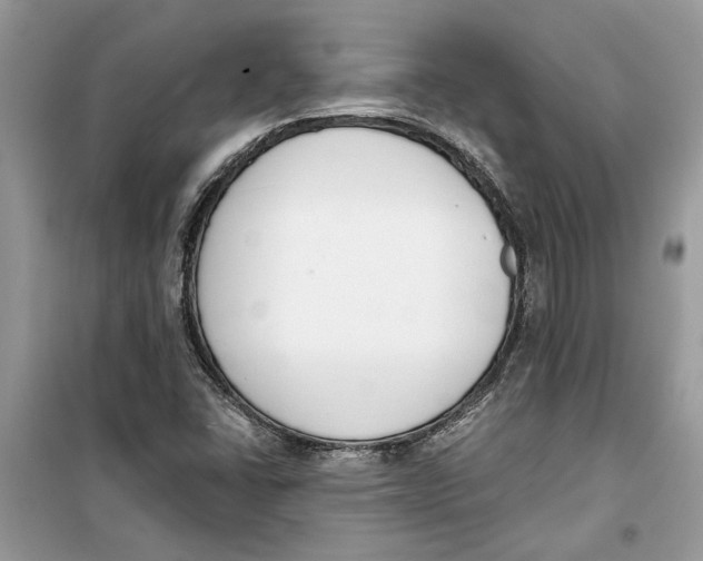 X0000099301406200805231332