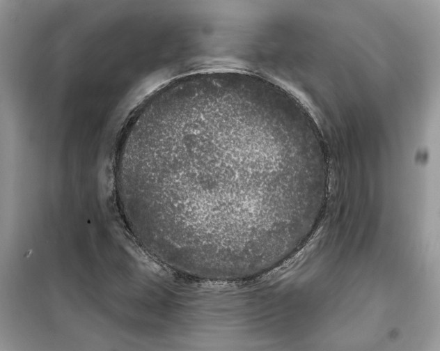 X0000099301407200805231332