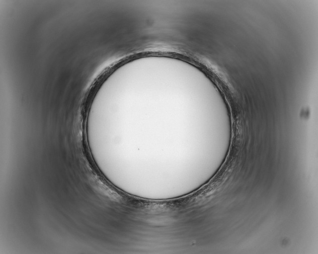 X0000099301408200805231332