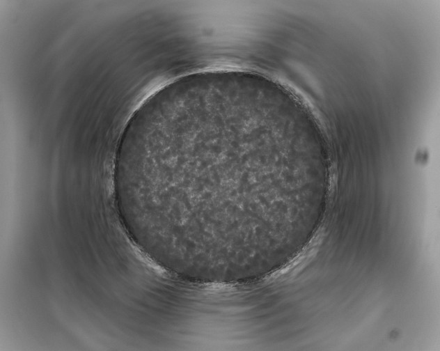 X0000099301409200805231332