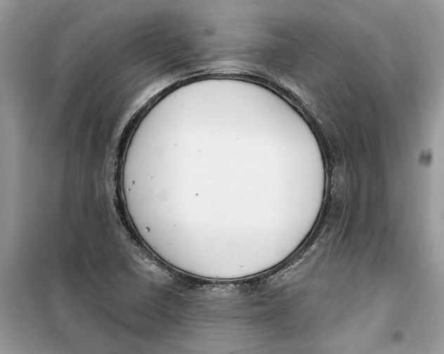 X0000099301410200805231332