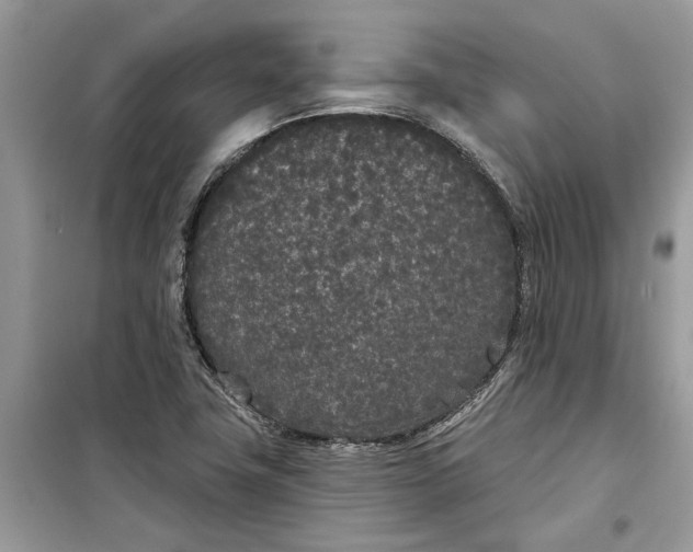 X0000099301411200805231332