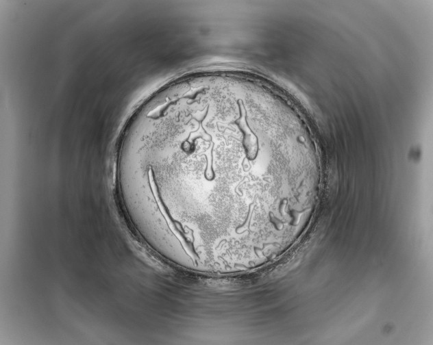 X0000099301413200805231332