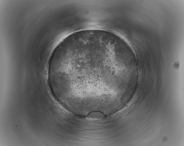 X0000099301415200805231332