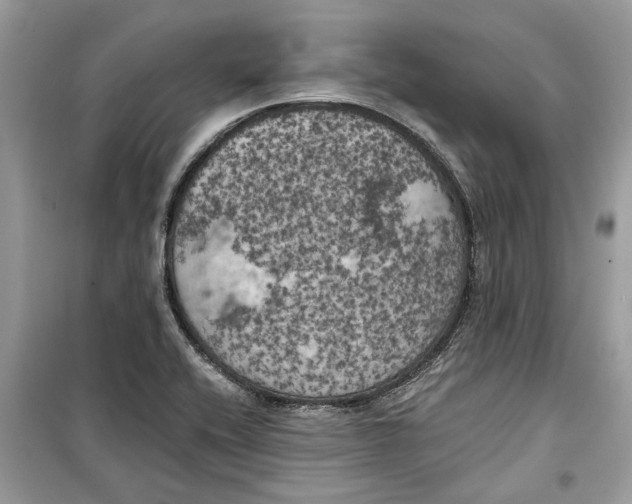 X0000099301416200805231332