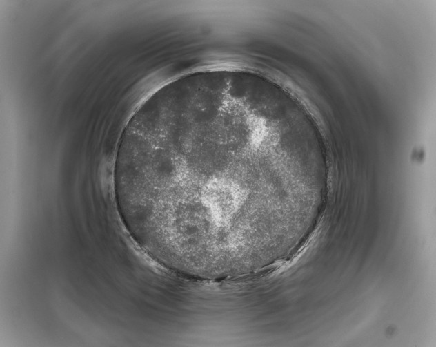 X0000099301417200805231332