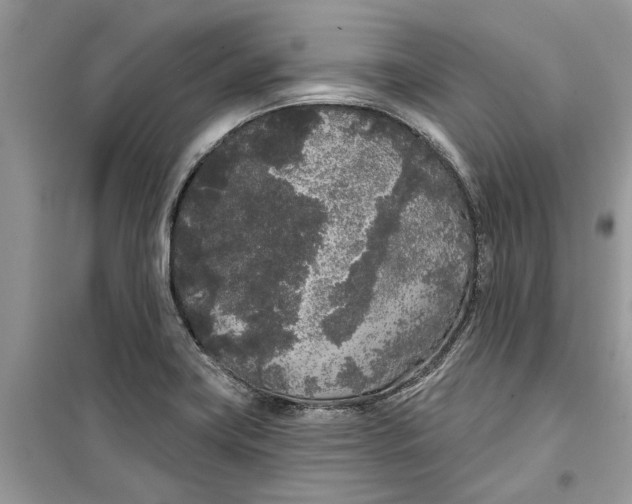 X0000099301419200805231332