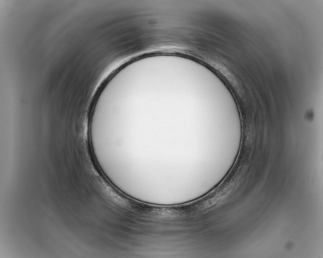 X0000099301420200805231332