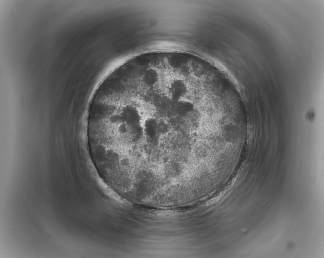 X0000099301421200805231332