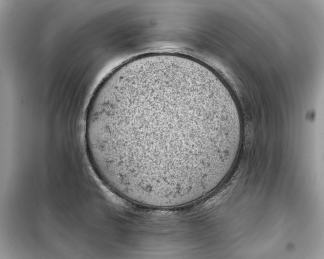 X0000099301424200805231332