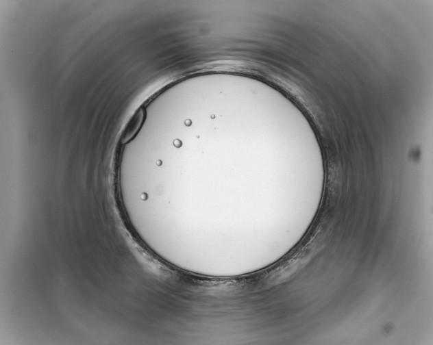 X0000099301426200805231332