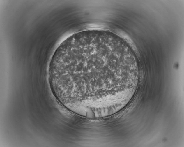 X0000099301427200805231332