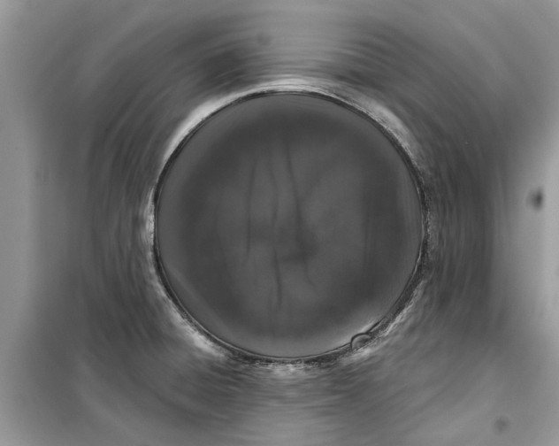 X0000099301428200805231332