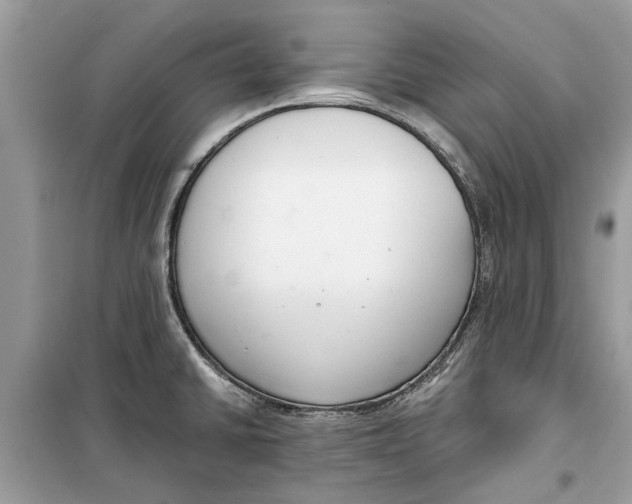 X0000099301430200805231332