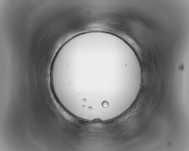 X0000099301431200805231332