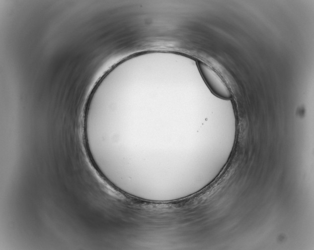 X0000099301432200805231332