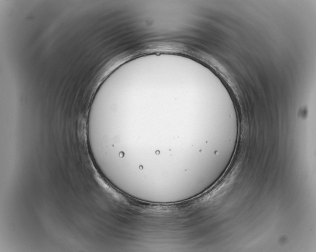 X0000099301433200805231332