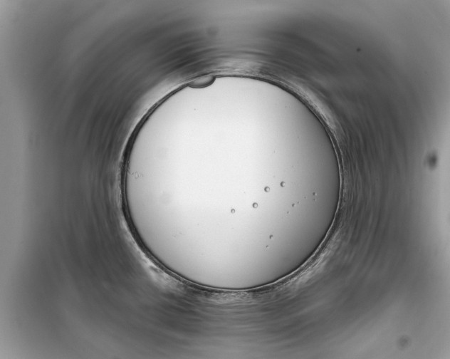 X0000099301434200805231332