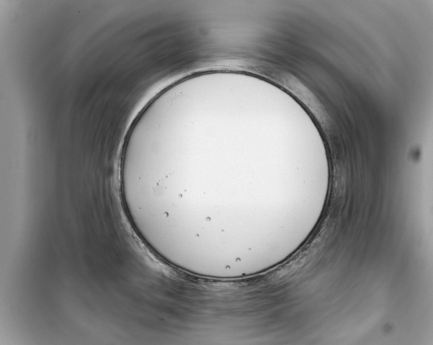 X0000099301436200805231332