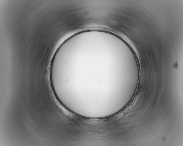 X0000099301437200805231332