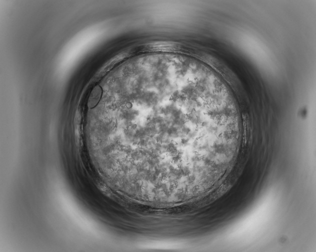 X0000099301438200805231332